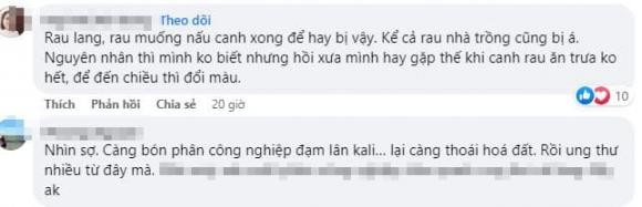 Rau khoai lang chuyen mau, ba noi tro khong biet an hay bo-Hinh-6