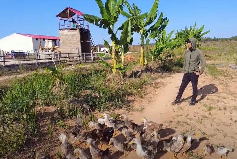 Loai vat chi nha giau Angola dam an o trang trai Quang Linh Vlog-Hinh-2