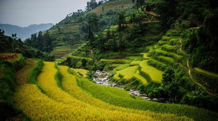 Hoang Su Phi khien du khach mien xuoi say dam