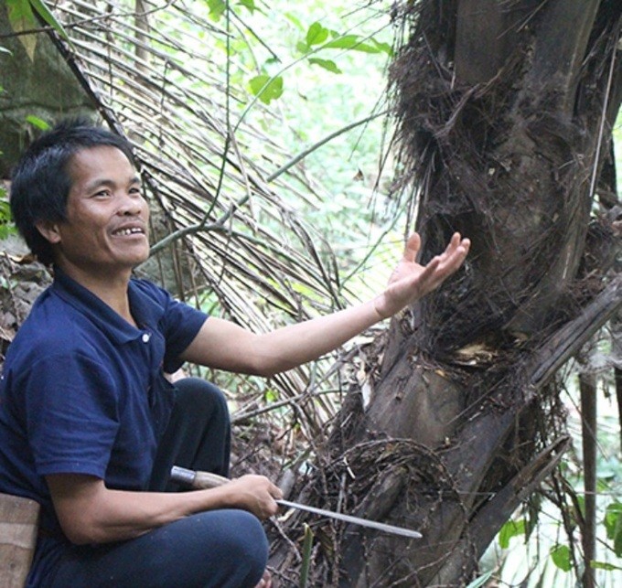 Nghe la o Viet Nam: “Mo” cay lay nuoc ra ngay thu ruou cay nong-Hinh-5