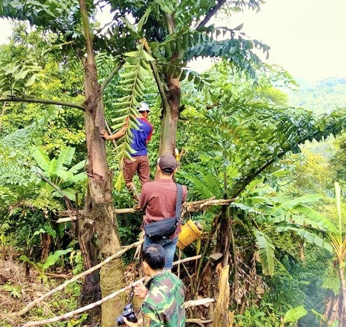 Nghe la o Viet Nam: “Mo” cay lay nuoc ra ngay thu ruou cay nong-Hinh-6