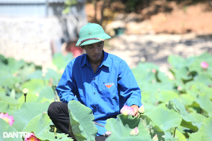 Chang ky su tre bo viec o thu do ve que bat bai dat hoang “no ra tien“-Hinh-3