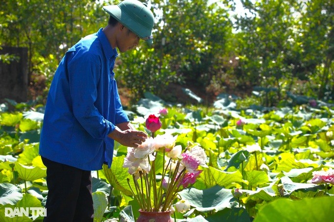 Chang ky su tre bo viec o thu do ve que bat bai dat hoang “no ra tien“-Hinh-5