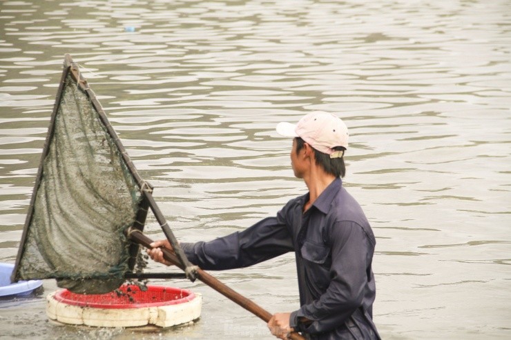 Muu sinh bang nghe cao hen trong long ho o du an khu do thi nghin ty-Hinh-2