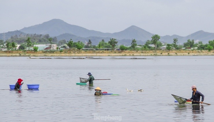 Muu sinh bang nghe cao hen trong long ho o du an khu do thi nghin ty