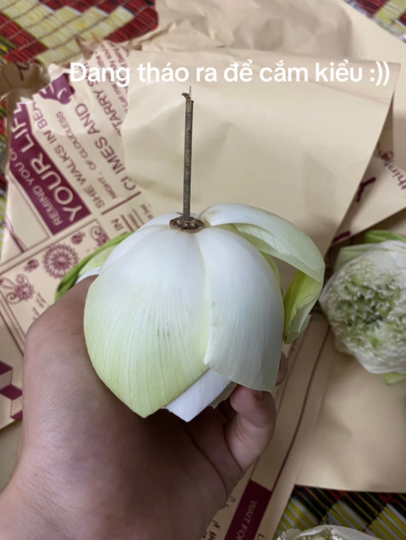 Mua hoa chup anh trend thu Ha Noi va kiep nan khong ngo toi-Hinh-7