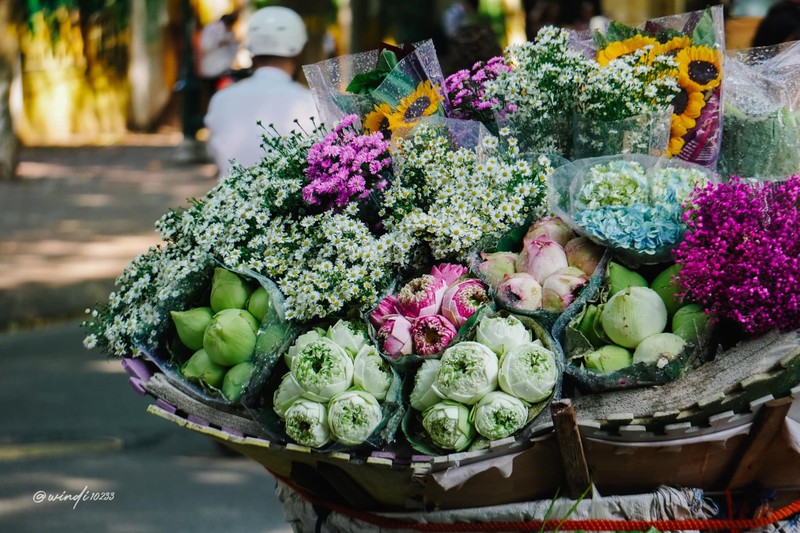 Mua hoa chup anh trend thu Ha Noi va kiep nan khong ngo toi-Hinh-9