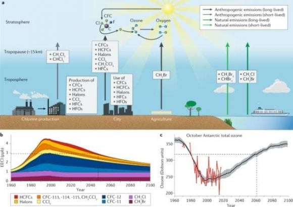 Tai sao hien nay hau nhu khong nhac den lo thung tang ozone?-Hinh-7