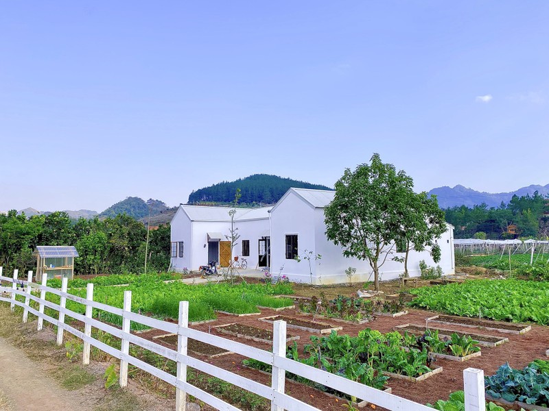 Co gai ve Moc Chau chi 300 trieu cai tao nha kho thanh homestay-Hinh-2