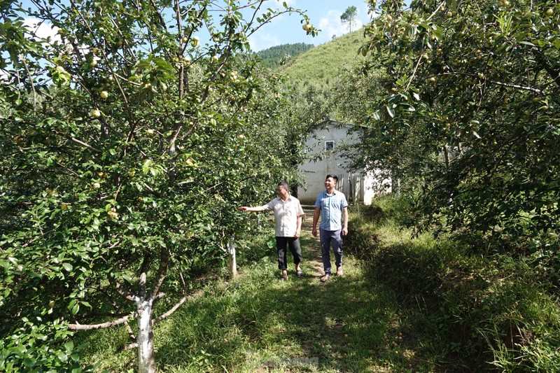 Len vung cao Mu Cang Chai hai tao Meo cung dong bao Mong-Hinh-2