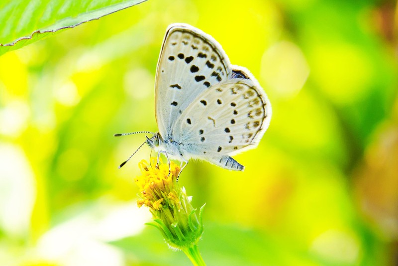 Thang 9 Am, ai sinh thang Am nay vua may man vua giau ngut troi-Hinh-2