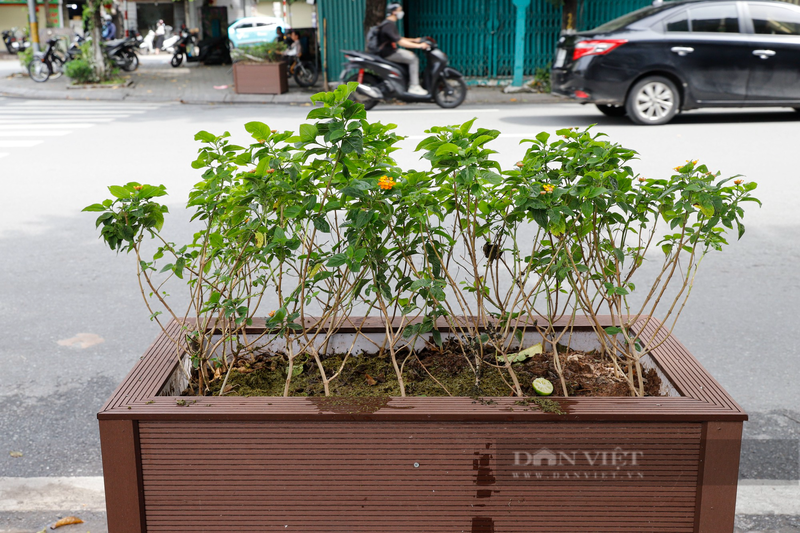 Bot dien va bon hoa tai Ha Noi “mac ao giap” nhua gia go-Hinh-7