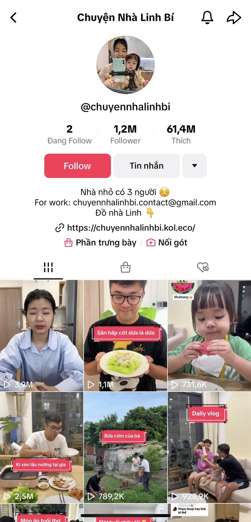 Kenh TikTok Chuyen nha Linh Bi noi tieng coi mang nhu the nao?-Hinh-3