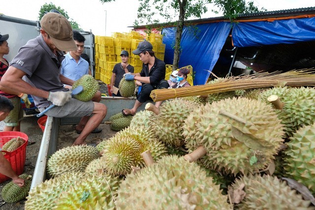 Ky luc chua tung co cua xuat khau rau qua Viet Nam