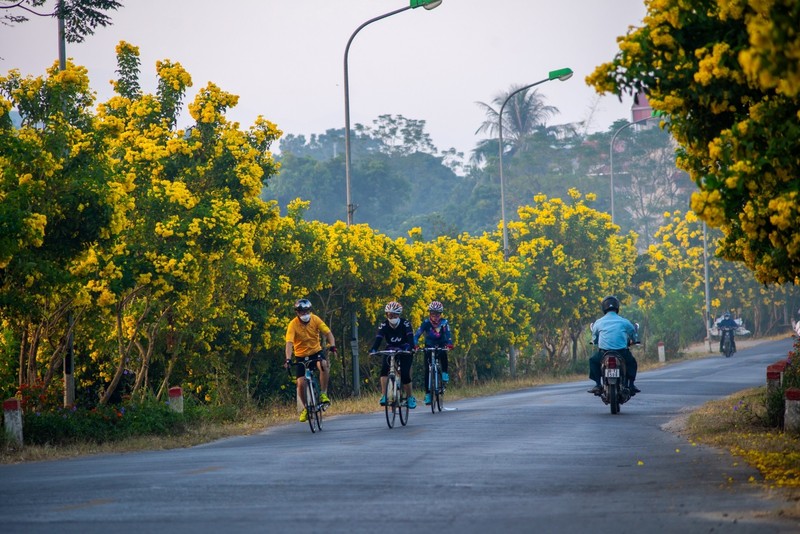 Con duong no hoa chuong vang Ha Noi gay 'bao mang'-Hinh-4