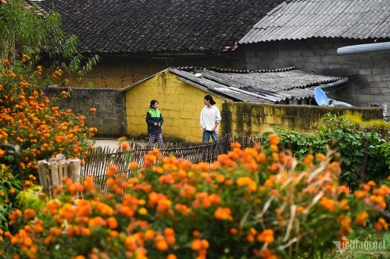 Nguoi Lo Lo Chai 'kiem du' nho kinh doanh homestay-Hinh-3