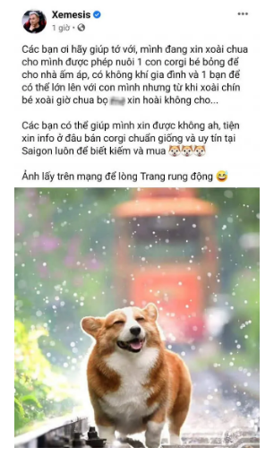 Xemesis ninh vo sieu kheo, netizen chi biet “no mat” ghen ti-Hinh-8