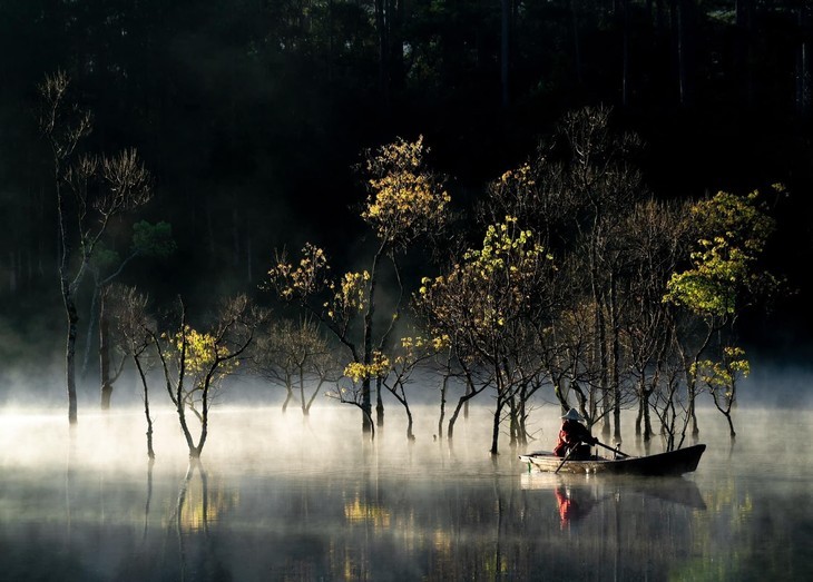 Dep ma mi suoi Tia - Da Lat