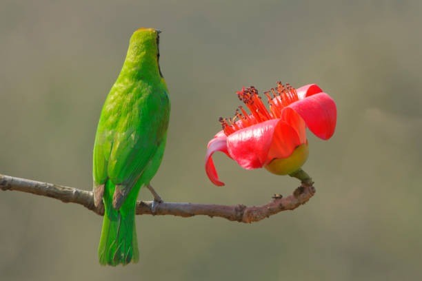 Ai sinh ngay Am lich nay huong phuoc loc, thuong Tet cao ngat-Hinh-2