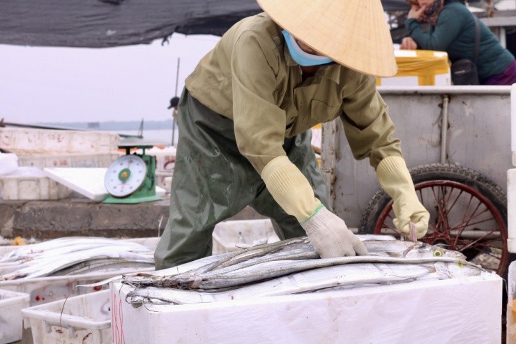 Ngu dan Thanh Hoa phan khoi trung dam me ca lon dau nam-Hinh-8