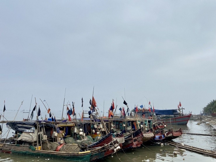 Ngu dan Thanh Hoa phan khoi trung dam me ca lon dau nam