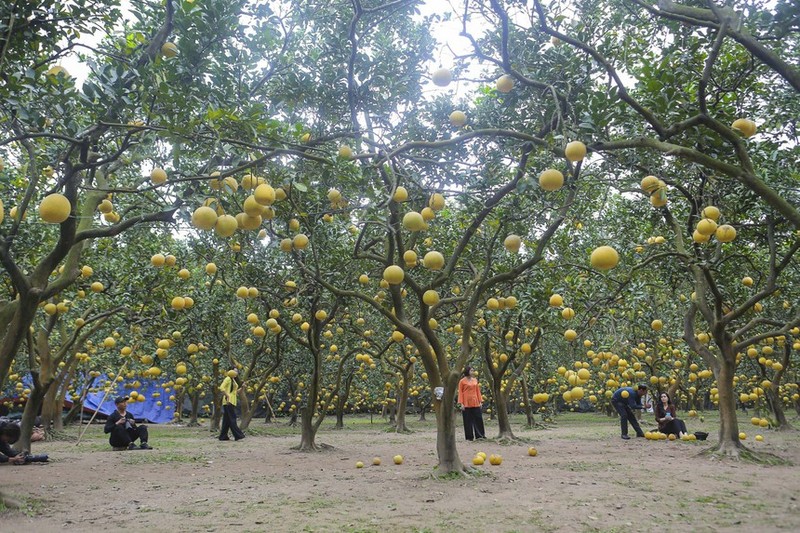 Chi tien trieu de “check-in” tai thu phu buoi Dien Ha Noi