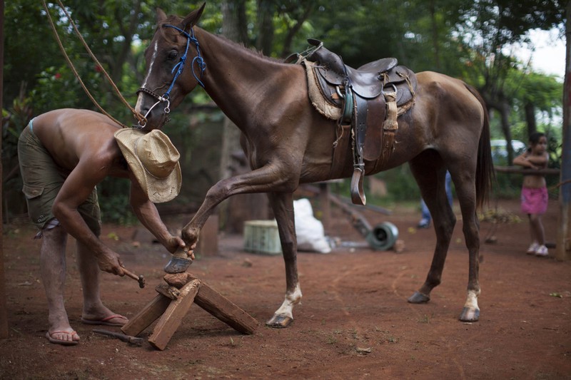 Dat nuoc Cuba thanh binh trong con mat phong vien Reuters-Hinh-7