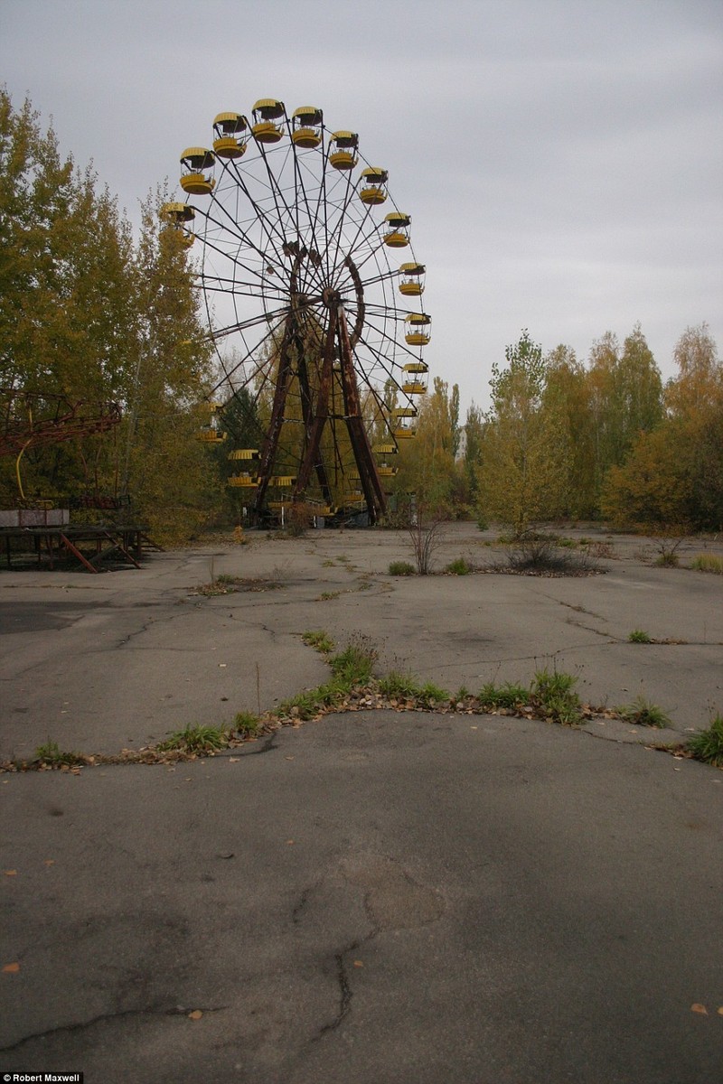 Am anh khung canh ron nguoi o “vung dat ma” Chernobyl-Hinh-6
