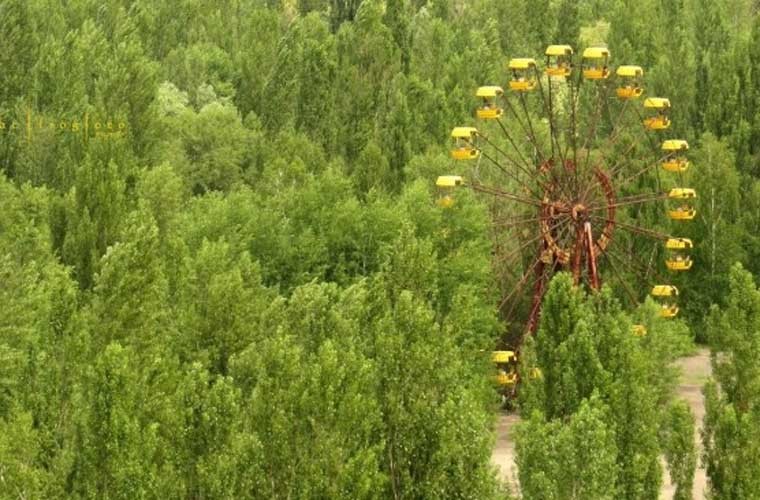 Anh: Thi tran Pripyat 30 nam sau tham hoa hat nhan Chernobyl-Hinh-13