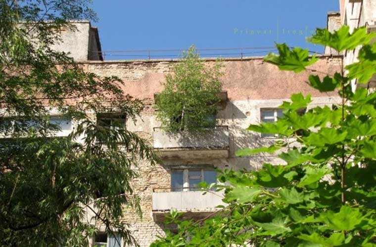 Anh: Thi tran Pripyat 30 nam sau tham hoa hat nhan Chernobyl-Hinh-8