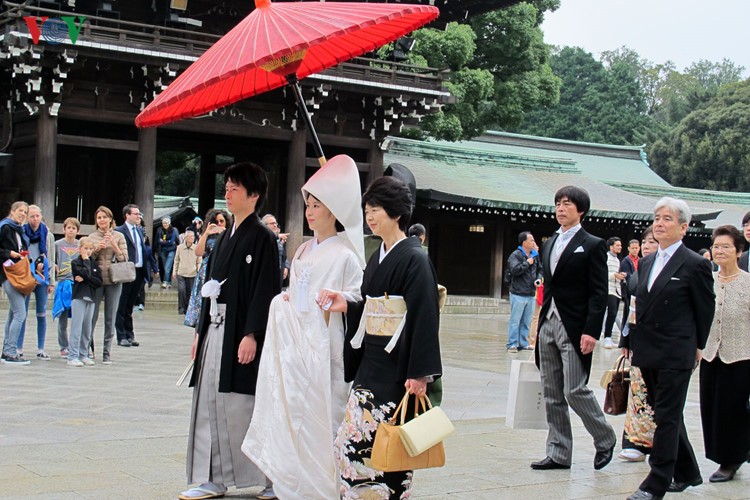 Chum anh: Meiji Jingu - ngoi den thieng giua thu do Tokyo-Hinh-14