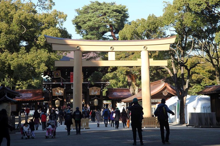 Chum anh: Meiji Jingu - ngoi den thieng giua thu do Tokyo-Hinh-18