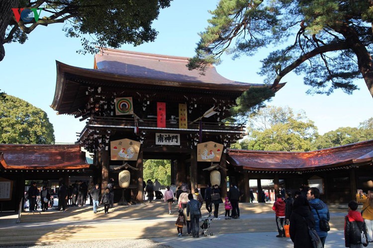 Chum anh: Meiji Jingu - ngoi den thieng giua thu do Tokyo-Hinh-3