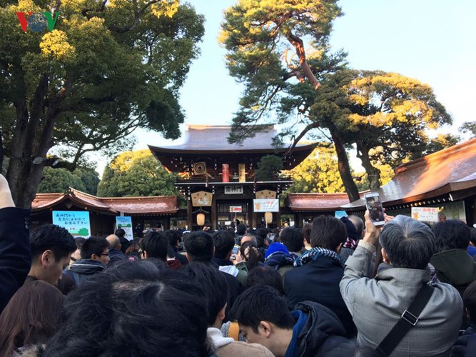 Chum anh: Meiji Jingu - ngoi den thieng giua thu do Tokyo-Hinh-5