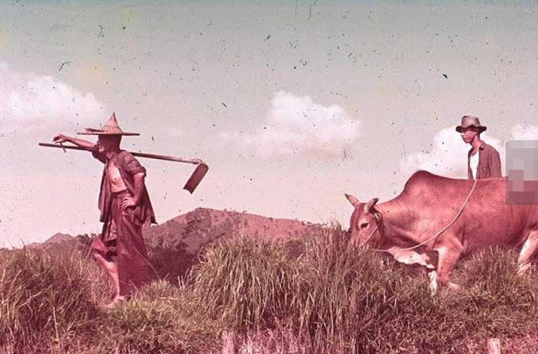 Chum anh khu Cuu Long o Hong Kong nhung nam 1960-Hinh-13