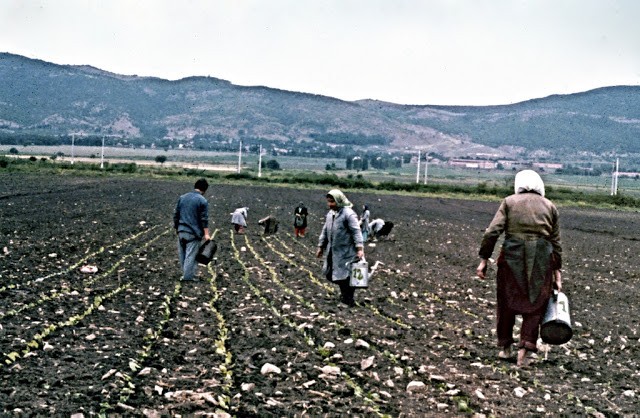 Hinh anh dat nuoc Bulgaria yen binh hoi  thap nien 1970-Hinh-6