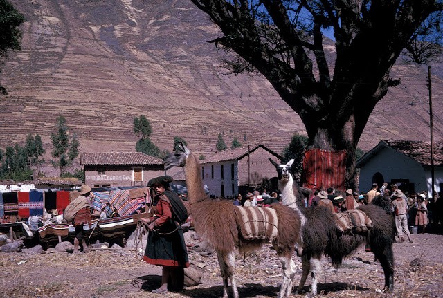 15 anh mau ve dat nuoc Peru thap nien 1960-Hinh-8
