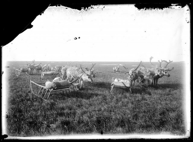 Cuoc song o Siberia dau thap nien 1900