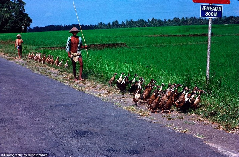 Thien duong Bali hoi thap nien 1970 trong ra sao?-Hinh-9