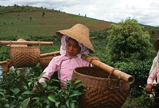 To mo dat nuoc Trung Quoc nam 1979 duoi ong kinh Eve Arnold-Hinh-8