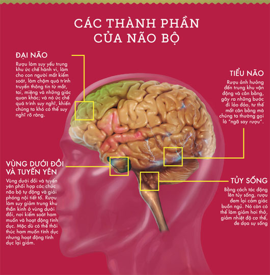 “Co may giai ruou” giup dao thai con, cuu song 3 trieu nguoi moi nam-Hinh-8