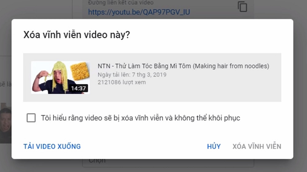 Kenh YouTube cua NTN dat top 3 luot dang ki tai Viet Nam-Hinh-7