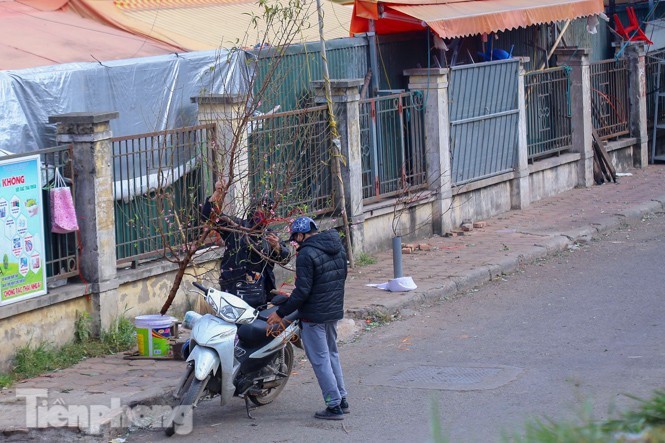 Dao no som truoc hai thang, bat dau xuong pho don Tet Duong lich-Hinh-4