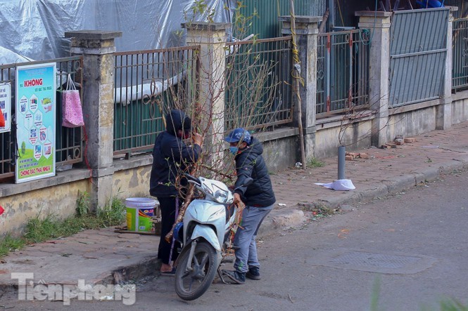 Dao no som truoc hai thang, bat dau xuong pho don Tet Duong lich-Hinh-5