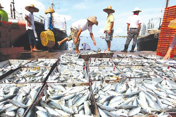 Trai dat chuan bi buoc vao giai doan... tuyet chung thuong ky?-Hinh-4