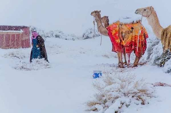 Nguoi dan thich thu toi sa mac Sahara de... nan nguoi tuyet-Hinh-8