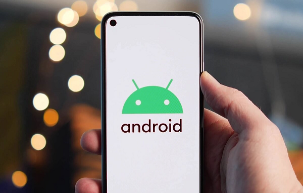 Google bo sung tinh nang nao giup Android 12 “sanh vai” iOS?-Hinh-12