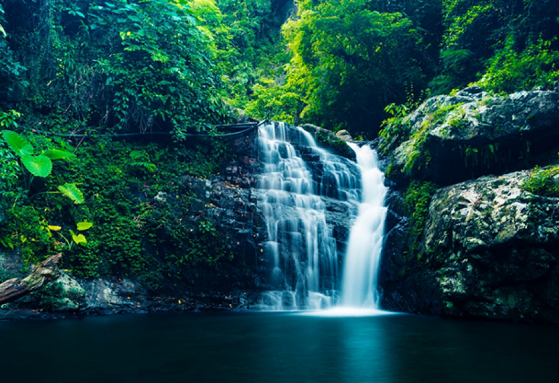 Loai ca o Quang Nam biet bay tren mat nuoc-Hinh-6