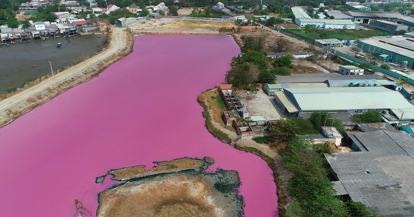 Thu pham gay mau tim ngat tren dam nuoc Ba Ria - Vung Tau-Hinh-10