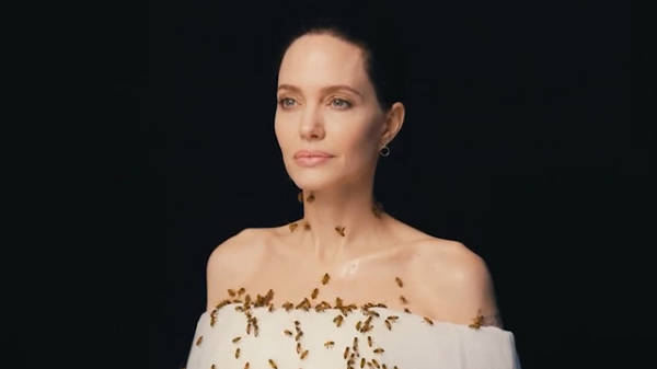 Loai ong nguy cap sao khien Angelina Jolie ba ngay khong tam de tuyen truyen-Hinh-2